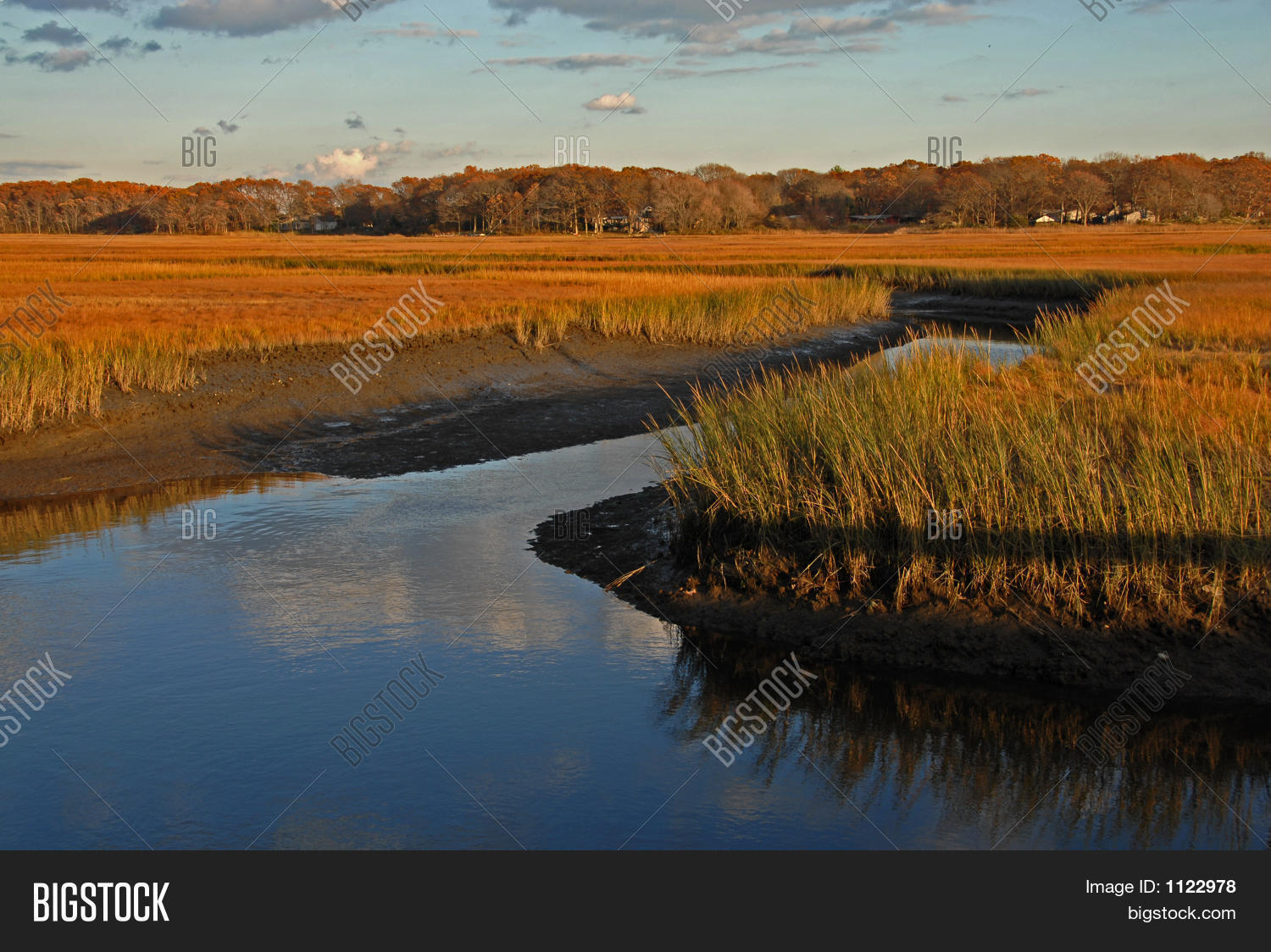 Connecticut Wetlands Image & Photo (Free Trial) Bigstock