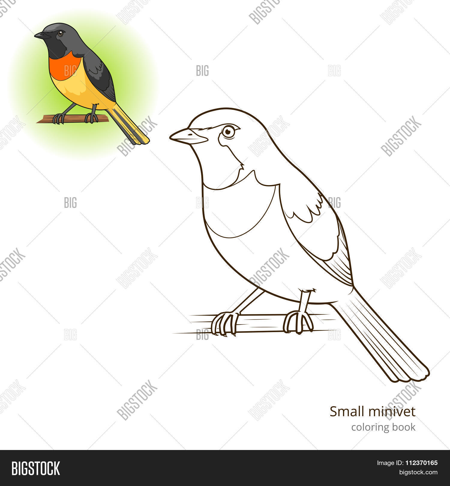 Image Preview