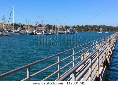 Pier and yachts on a sunny day in Bodega Bay.