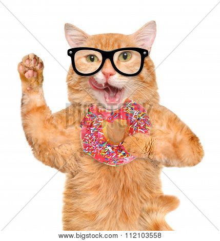 Cat tea time with donut