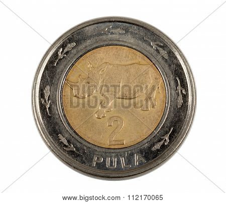 Detail Of Botswana Pula Coin