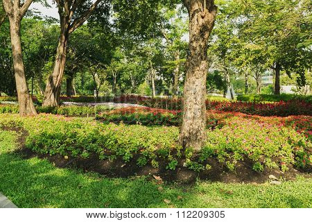 Trees And Flowers In Garden