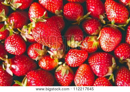 Fresh Strawberry toned Background