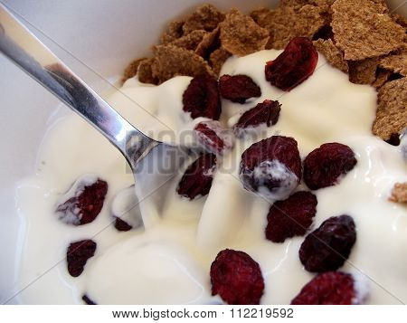 Bran Flakes, Yoghurt and Cranberries