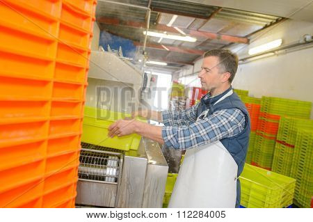 Man moving crates