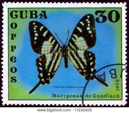 แสตมป์โบราณ ลาย Papilio ลูคัส