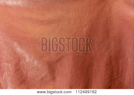 Abstract Natural Textile Background - Natural Leather.