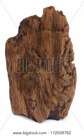 Bogwood Over White Background