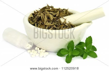 Dry And Fresh Stevia Leaves With Pills