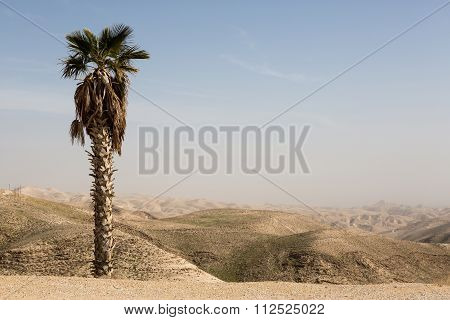Mountains