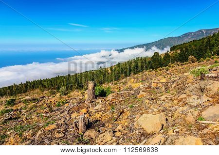 Landscape On Tenerife Island In Spain