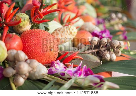 Vegetabe And Herb For Healthy Food