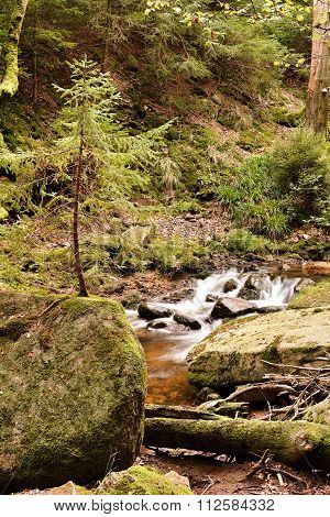Harz National Park