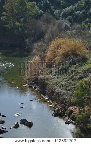 Oeiras Creek And Vegetation In Alentejo