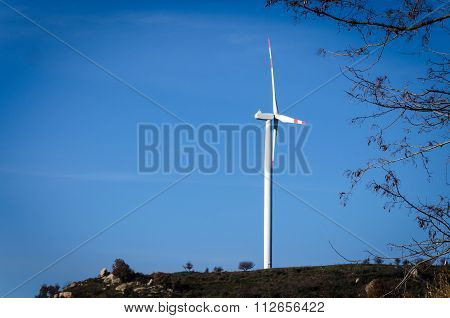 Eolic Turbines