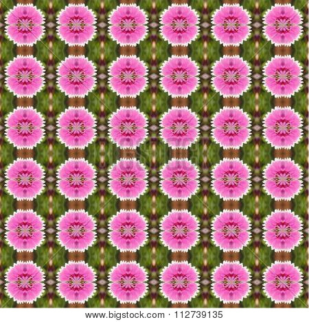 abstract pattern and sameless background make from flower