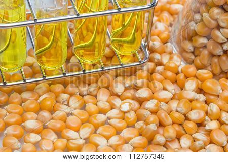 Research Corn Energy, Biofuel And Gmo In Laboratory