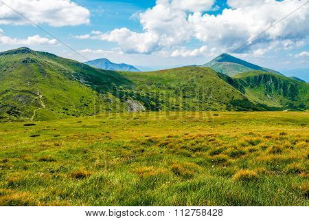 Carpathian mountains