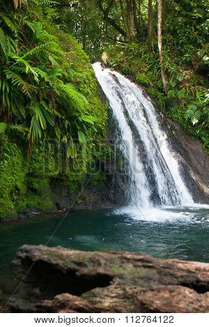 Beautiful Waterfall On Guadeloupe Island