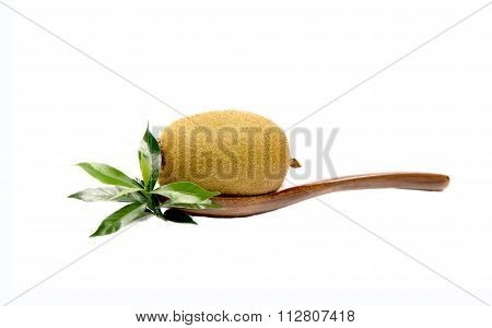 Kiwi isolate on the ladle