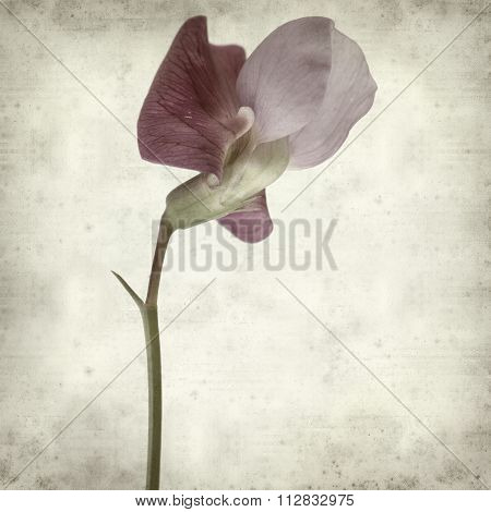 Textured Old Paper Background