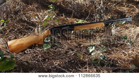 Gun