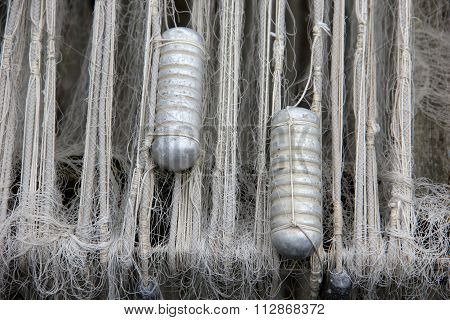 Fish Net