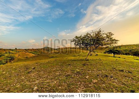 Beautiful View Mountain