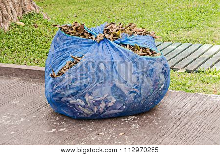 Heap of dry leaves
