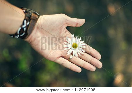 flowers in hand. close-up view