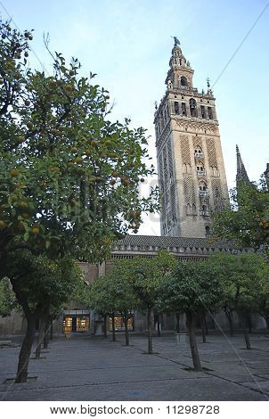 Cattedrale di Siviglia