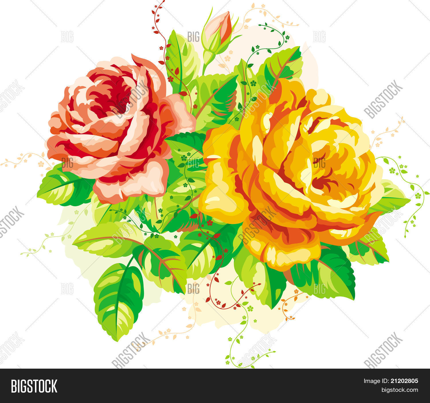 Image Preview
