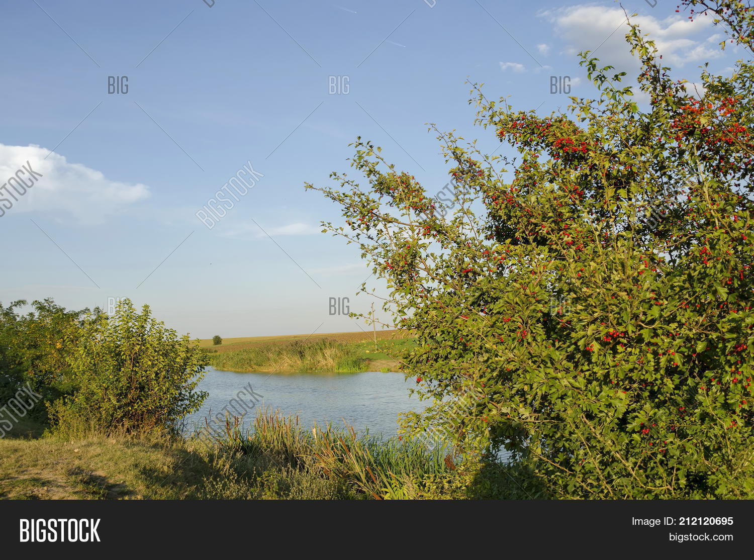 Image Preview