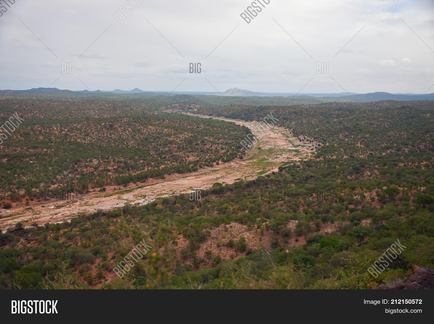Image Preview