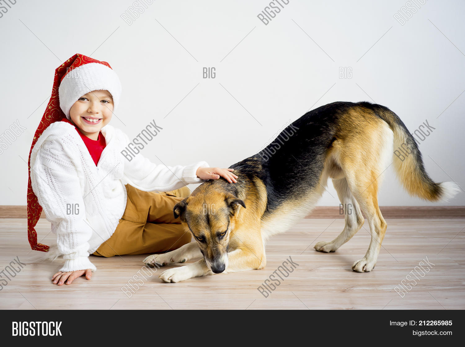 Image Preview