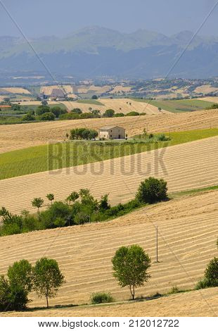Rural landscape along the road from Appignano to Montecassiano (Ancona Marches Italy) at summer.