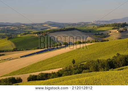 Rural landscape along the road from Filottrano to Appignano (Ancona Marches Italy) at summer.