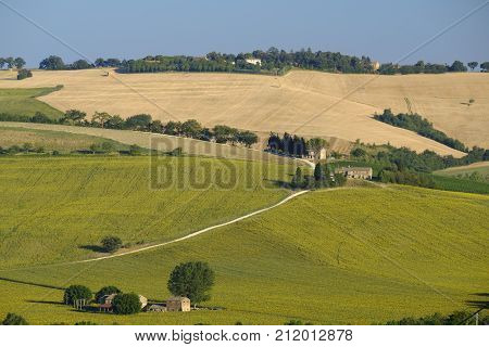 Rural landscape along the road from Filottrano to Appignano (Ancona Marches Italy) at summer.