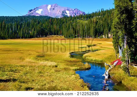 Creek surrounded by an alpine meadow and a pine forest with Mt Lassen, CA beyond