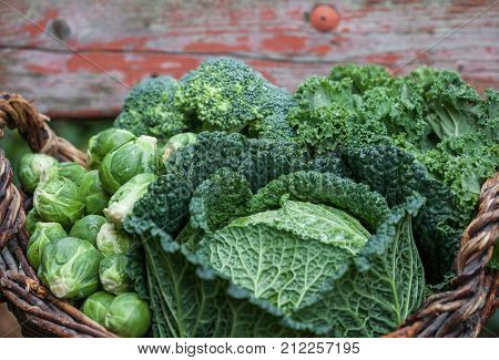 Various Green Cabbages In Basked Outdoor On Daylight