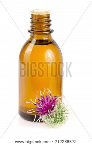 burdock oil in glass bottle and burdock flowers isolated on white background.