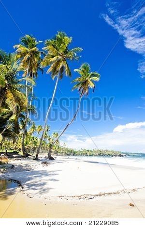 Cumana Bay, Trinidad