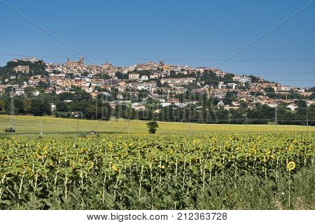 Rural landscape along the road from Montefano to Castelfidardo (Ancona Marches Italy) at summer. VIew of Castelfidardo