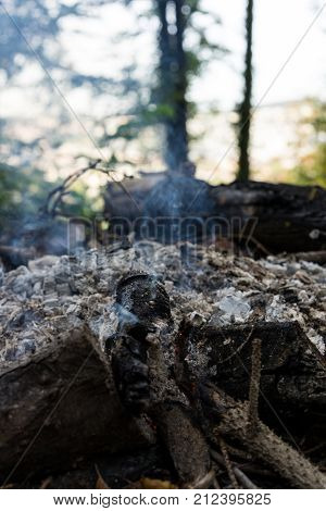 fire place in forrest close up view with grey ash and small fire autumn