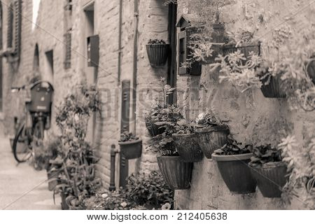 View Of An Alley In The Historic District Of Colle Val D'elsa A Small Town Near Siena In Tuscany
