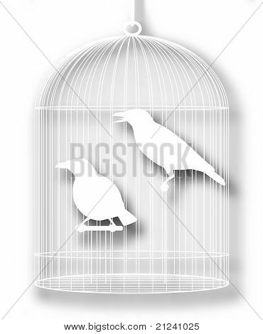 Découpe oiseaux en cage