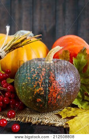 Several multicolored pumpkins (yellow orange brown spotted) and viburnum lie on a dark wooden background. Vertical view. Autumn vegetables.