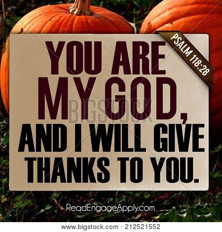 Thanksgiving Psalm 118:28 You are my God, and I will give thanks to you.