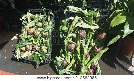 Fresh Artichokes On The Market