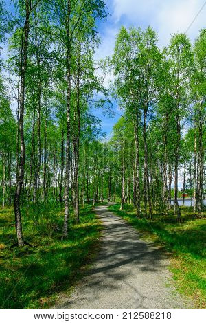Footpath And Trees In The Kirkkosaari Island